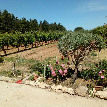 Il Giardino Delle Rose A * Olmedo