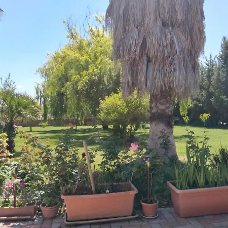 Il Giardino Delle Rose A Olmedo