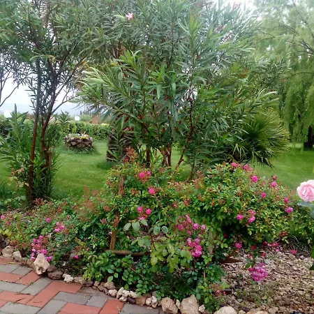 Il Giardino Delle Rose A Lägenhet