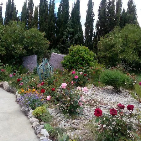 Il Giardino Delle Rose A *