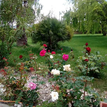 Il Giardino Delle Rose A Olmedo