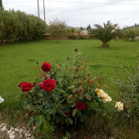 Il Giardino Delle Rose A