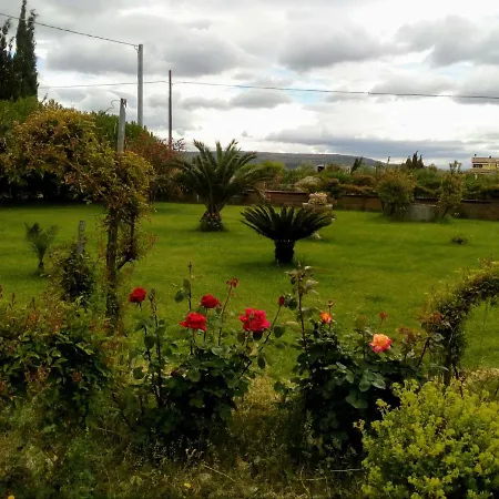 Il Giardino Delle Rose A Olmedo