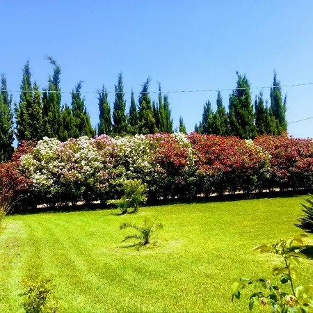 Il Giardino Delle Rose A Appartamento Olmedo