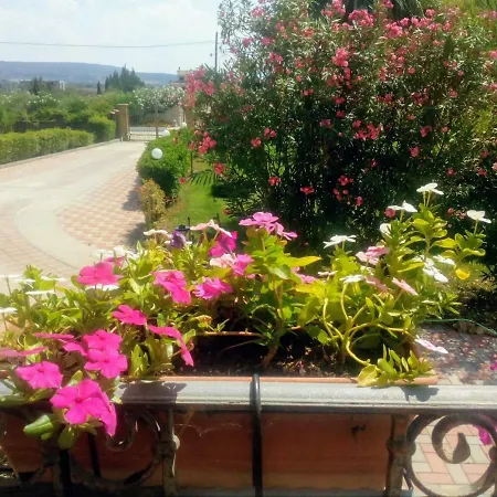 Il Giardino Delle Rose A Olmedo