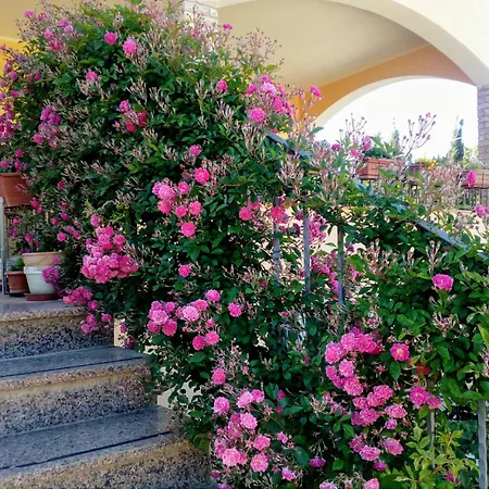Il Giardino Delle Rose A Olmedo