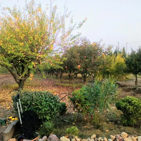 Il Giardino Delle Rose A Lejlighed