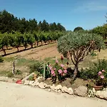 Il Giardino Delle Rose A * Olmedo