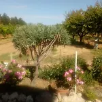 Il Giardino Delle Rose A *