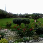 Il Giardino Delle Rose A Apartman Olmedo
