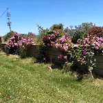 Il Giardino Delle Rose A