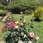 Il Giardino Delle Rose A Appartamento
