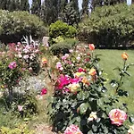Il Giardino Delle Rose A * Olmedo