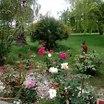 Il Giardino Delle Rose A Olmedo