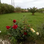 Il Giardino Delle Rose A