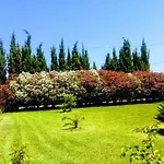 Il Giardino Delle Rose A Appartamento Olmedo