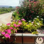 Il Giardino Delle Rose A Olmedo