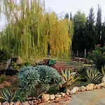 Il Giardino Delle Rose A * Olmedo