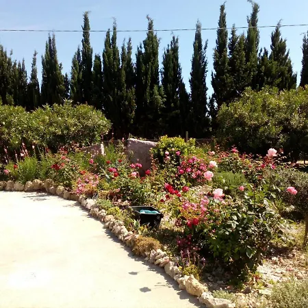Il Giardino Delle Rose A * Olmedo
