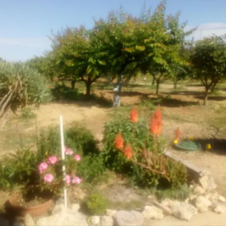 Il Giardino Delle Rose A Apartment *