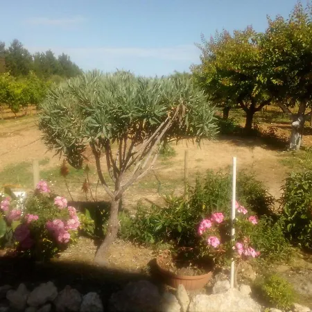 Il Giardino Delle Rose A *