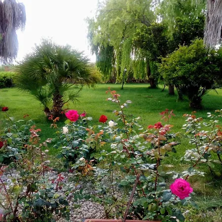 Il Giardino Delle Rose A