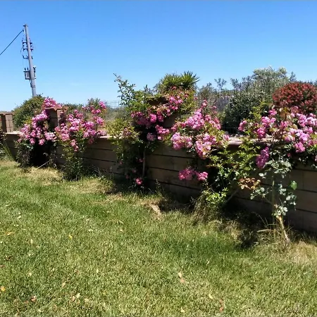 Il Giardino Delle Rose A