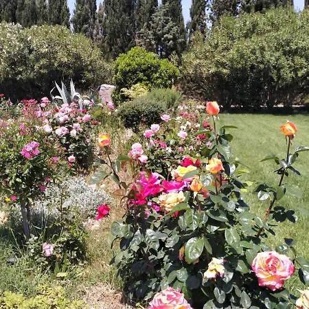 Il Giardino Delle Rose A * Olmedo