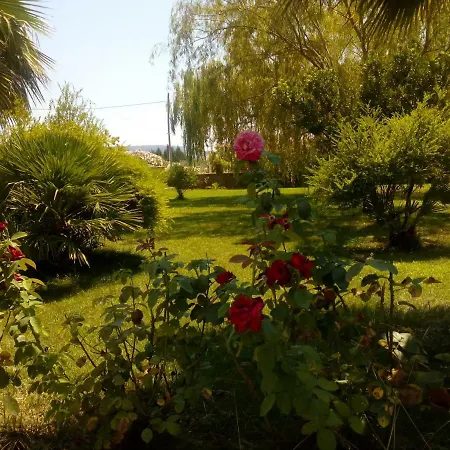 Il Giardino Delle Rose A * Ольмедо