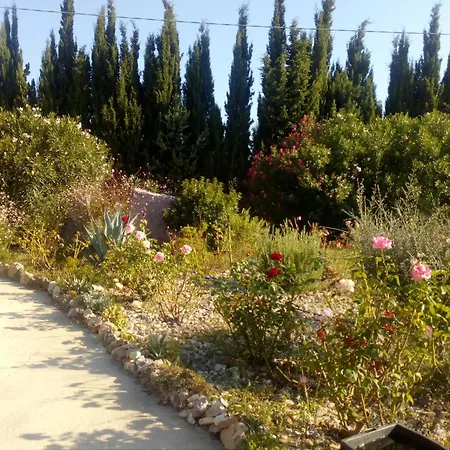 Appartamento Il Giardino Delle Rose A *