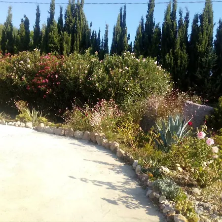 Il Giardino Delle Rose A * Ольмедо