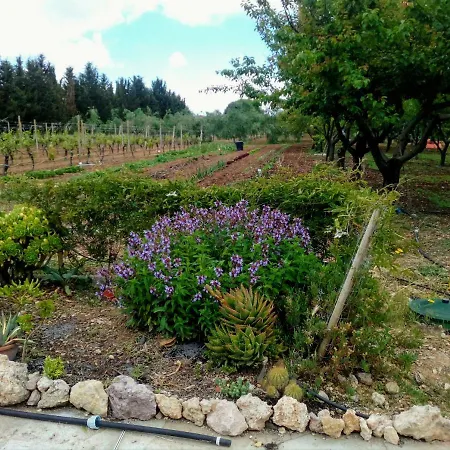 Il Giardino Delle Rose A * Ольмедо