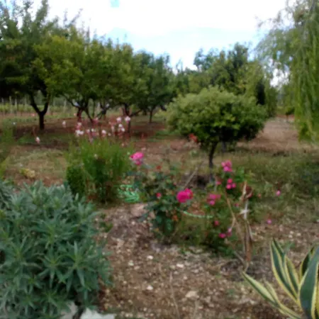 Apartment Il Giardino Delle Rose A