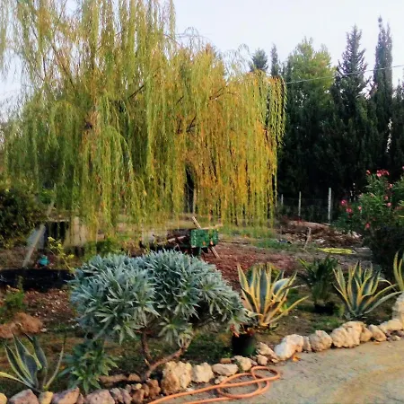 Il Giardino Delle Rose A * Olmedo