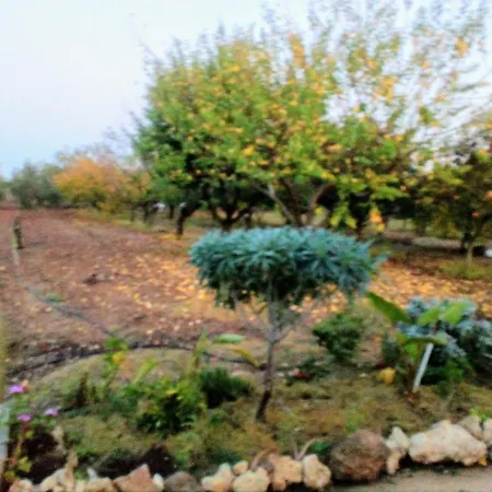 Apartment Il Giardino Delle Rose A