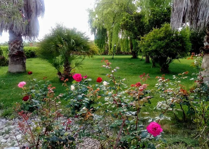 Il Giardino Delle Rose A