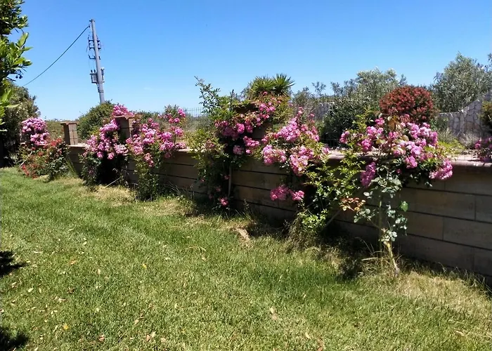 Il Giardino Delle Rose A