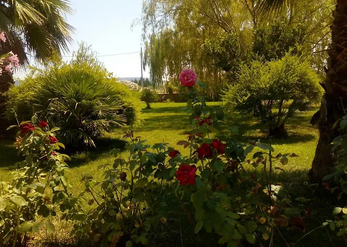Il Giardino Delle Rose A * Olmedo