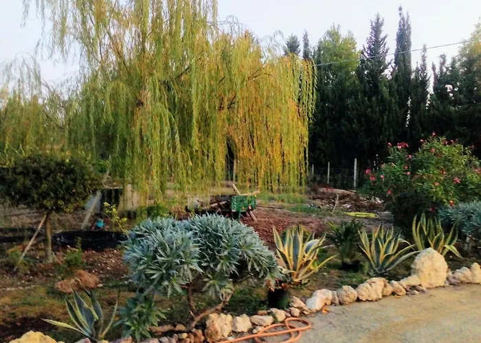 Il Giardino Delle Rose A * Olmedo